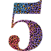 5th Birthday Leopard