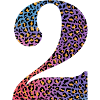 2nd Birthday Leopard