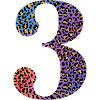 3rd Birthday Leopard