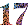 17th Birthday Leopard