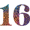 16th Birthday Leopard