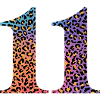11th Birthday Leopard