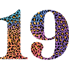 19th Birthday Leopard