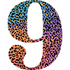 9th Birthday Leopard
