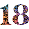 18th Birthday Leopard