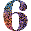 6th Birthday Leopard
