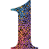 1st Birthday Leopard