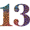 13th Birthday Leopard