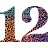 12th Birthday Leopard