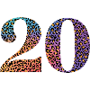 20th Anniversary Leopard