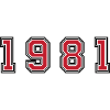 1981 year number