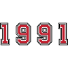 1991 year number