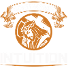 Intuition