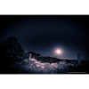 Moonlight