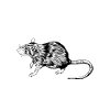 Rat Owner - Rat Mom