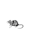 Rat Owner - Rat Daddy