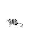 Rat Owner - Rat Daddy