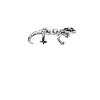 Gecko lover - Gecko Mama