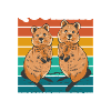 I love quokkas