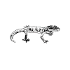Gecko owner - Gecko Papa