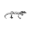 Gecko propriétaire - Gecko Papa