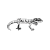 Gecko lover - Gecko Papa