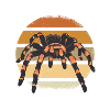 Tarantula