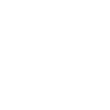 Je promène mon maitre