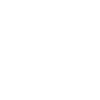 Je promène mon maitre