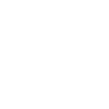 Pigeon fanciers pigeons