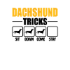Dachshund Tricks