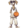 Cool Basketball Dog