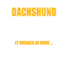 Dachshund Tricks