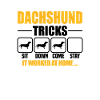 Dachshund Tricks