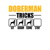 Doberman Tricks