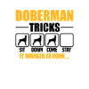 Doberman Tricks