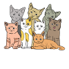 Knuddeltier Haustiere Katze Heimtier Statement
