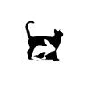 Katze Hund Statement Haustiere Häschen Tiere