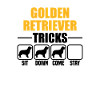Golden Retriever Tricks