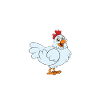 Drôle de poulet disant poulet