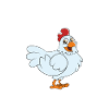 Funny Chicken Saying Chicken