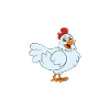 Funny Chicken Saying Chicken
