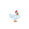 Funny Chicken Saying Chicken