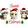 Sweet Catmas, Cat Christmas