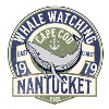 Nantucket whales watching 4