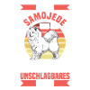 Samojede ist unschlagbar Samojedenspitz