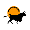Camargue Bull sunset