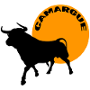 Taureau et soleil Camargue