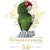 Red-headed parrot