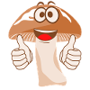 Champignons Cueilleurs de champignons